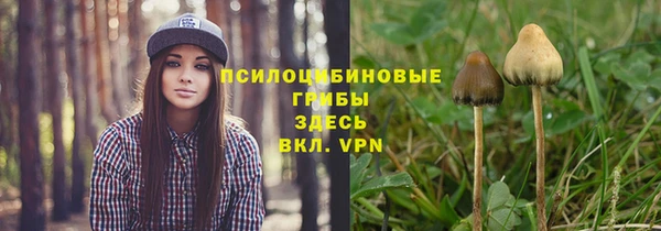 таблы Алзамай